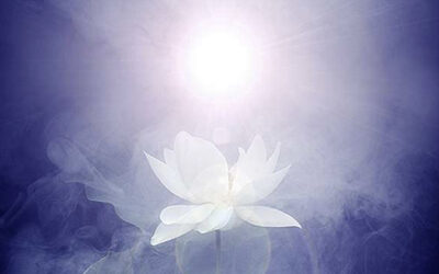 IL RISVEGLIO SPIRITUALE